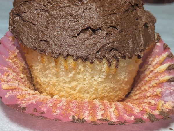 Chocolate cupcakes