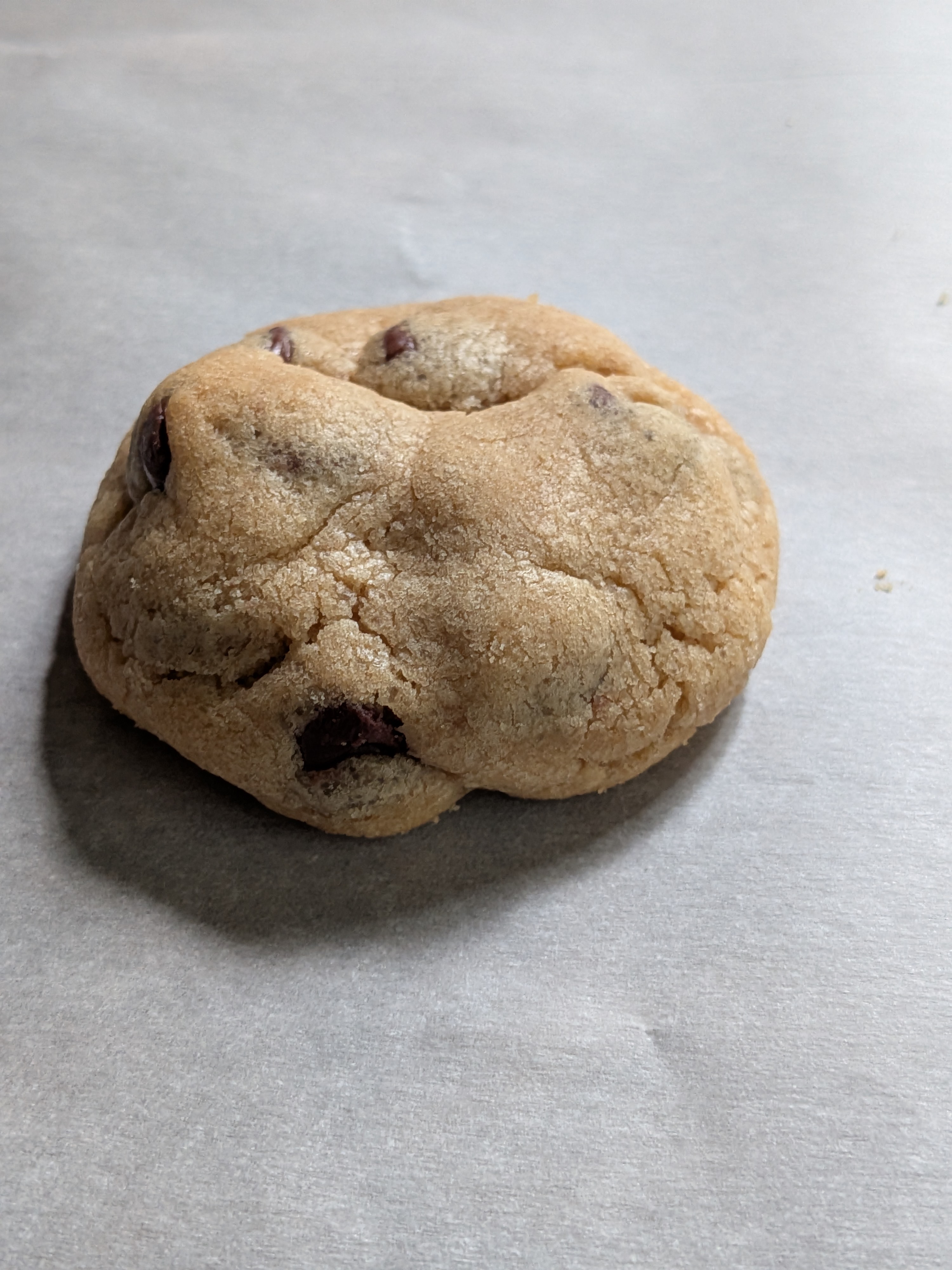 Chocolate chip peanut butter cookie