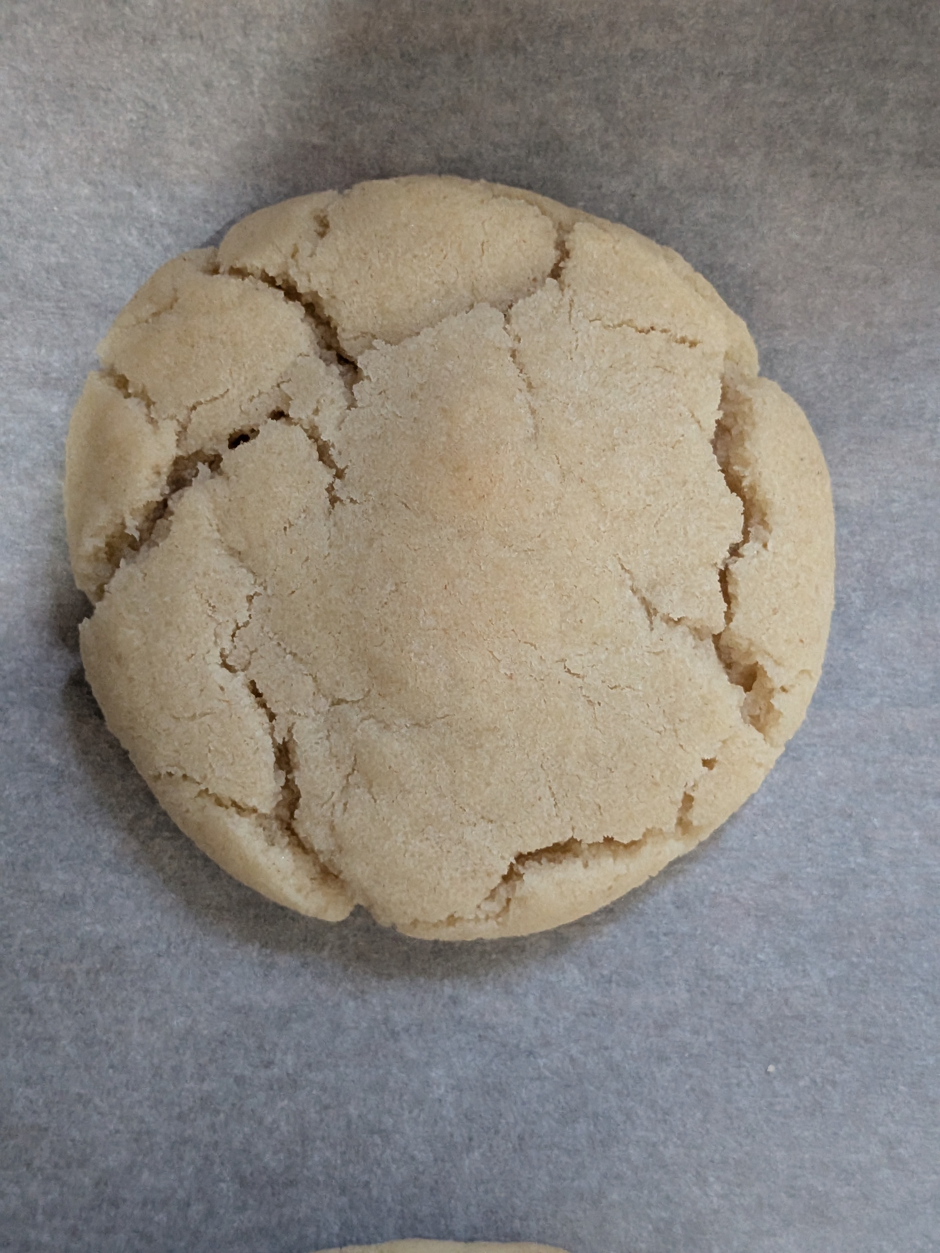 Plain sugar cookie